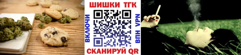 Купить закладки  Новотитаровская  Cannafood конопля 
